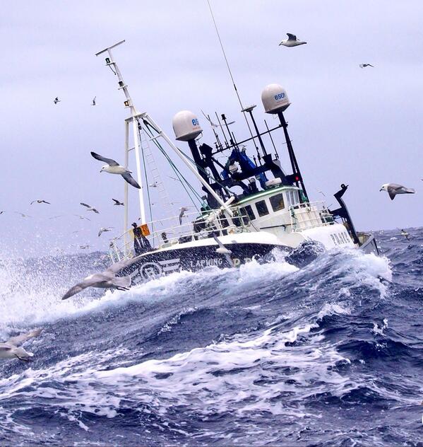 LapwingPD972's tweet photo. Think this is a great Pic from yesterday @eatmorefishrt @NFFO_UK  @seafishuk http://t.co/NKbbIi5QjO