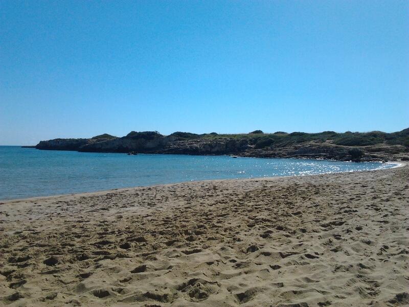 Non so come siete combinati in continente, ma qui nel profondo sud è primavera inoltrata. http://t.co/SjhQQ5EX0m