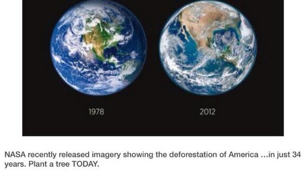 AnaPaulaaa5's tweet image. Plant a tree today! #importanceoftrees #environment #deforestation #NASA #trees #planet