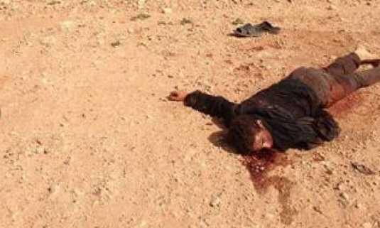 Embedded image permalink