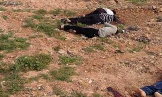 Embedded image permalink