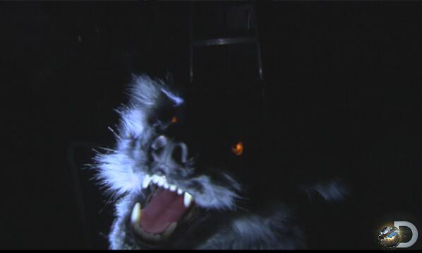 MythBusters's tweet photo. Did you see the awesome LED eyes in our #BulletBusters wolf? That & more w/ the aftershow >> http://t.co/aBtIieymvo http://t.co/lMqV38ZNHm
