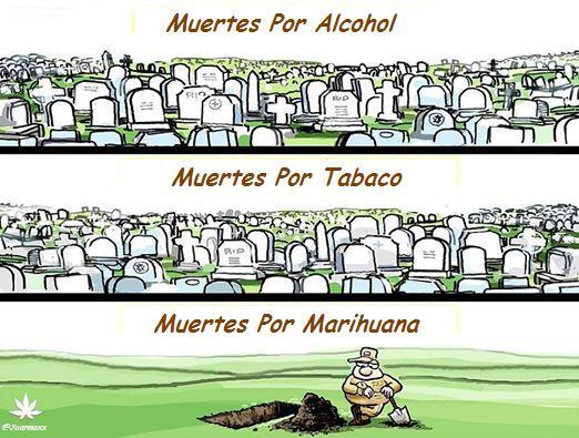 Juarmaxx's tweet photo. Y aún viendo lo evidente, uno se pregunta: Hasta cuando la prohibición?? #LibertadParaLaMarihuana #LibertadParaMaria http://t.co/W7ezEGdGbM