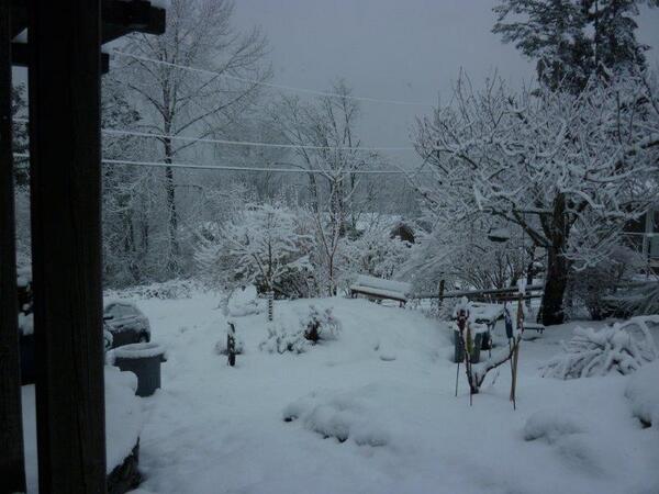 geen winter dit jaar? Dat geldt niet voor Elly die de vertaling in Canada doet voor de Engelstalige versie van KALF
