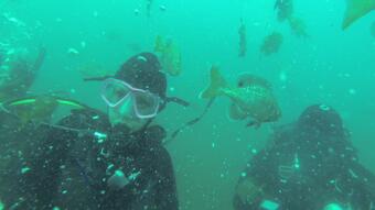 A few pics of me scuba diving yesterday. Pic 1 of 3. http://t.co/K0JyHRxE0u<a href="/tag/motogp"class="tags"><span>#motogp</span></a>