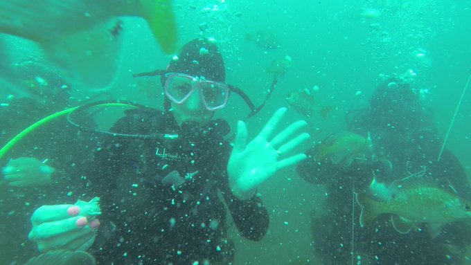 Scuba pics... 3 of 3. Brought some Vienna Sausages down with us to feed the fish. We were 40 ft down<a href="/tag/loved"class="tags"><span>#loved</span></a>
