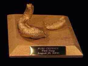 FilthyEffinRich's tweet photo. 24k covered poop #suricruise #firstpoop #goldmedal http://t.co/EPdGQHb5pK