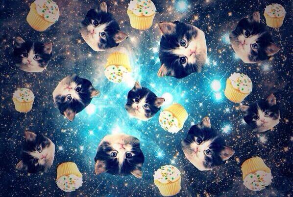 ItsSpaceCats's tweet photo. http://t.co/k4RO0vwv9Y
