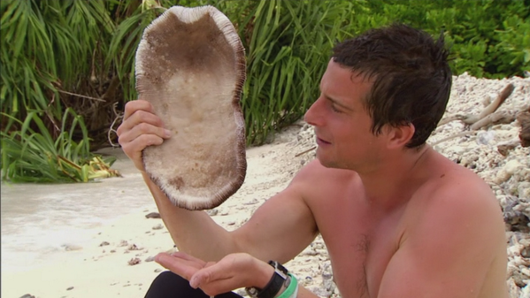 RMCDecouverte's tweet photo. Le mucus du corail champignon est aussi efficace qu'un écran solaire indice 50 #ManVSWild #RMCDécouverte http://t.co/4yKG2F0j0e