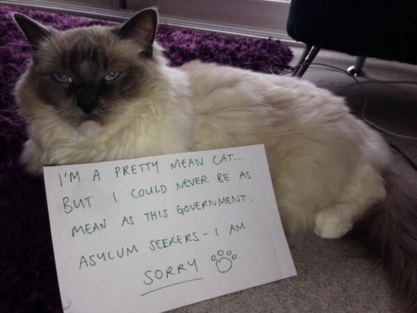 VenerableCat's tweet photo. Viva Australian Comrades!  Solidarity with asylum seekers #NooneIsIllegal #wlf 
http://t.co/Q4QoHyMUMs http://t.co/oO9YALGOfQ