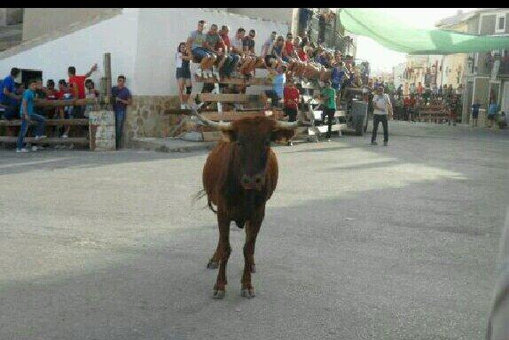 turroneroscruz's tweet photo. http://t.co/L6JP30g2XU