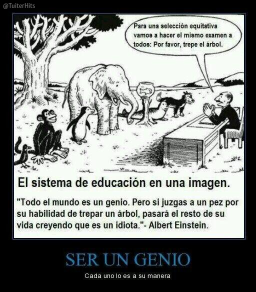 TuiterHits's tweet photo. El sistema de educación en una imagen. http://t.co/PqjMS7jRuk