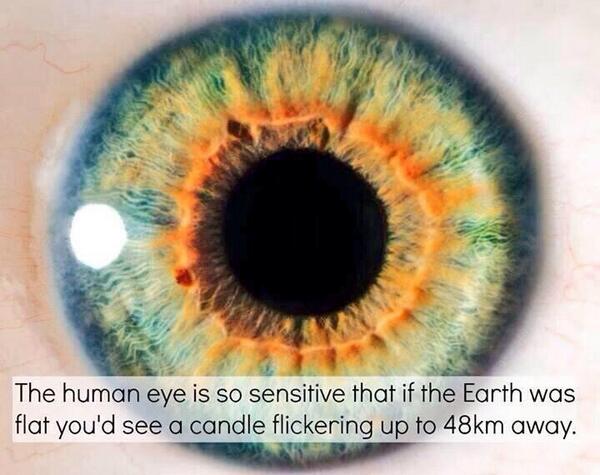 Science_Pics's tweet image. Amazing.