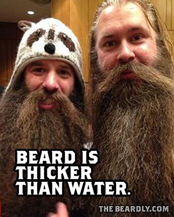 thebeardly's tweet image. "Beard is thicker than water." -thebeardly.com