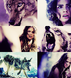 Shelley Hennig (@actressofmalia_) on Twitter photo 