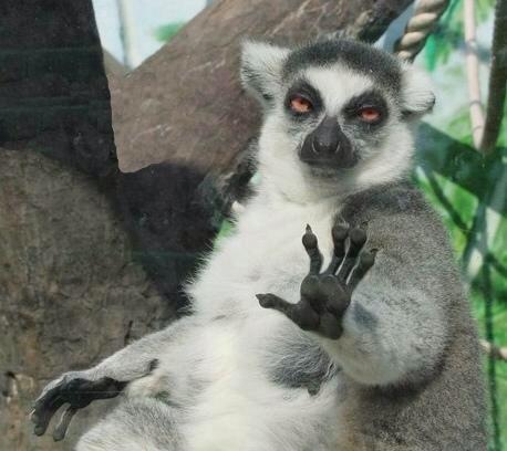 BayChristian_'s tweet photo. When someone flips and goes "THATS SO ME! " but you have never once seen them be/do anything close. http://t.co/9NtCUKzGX6