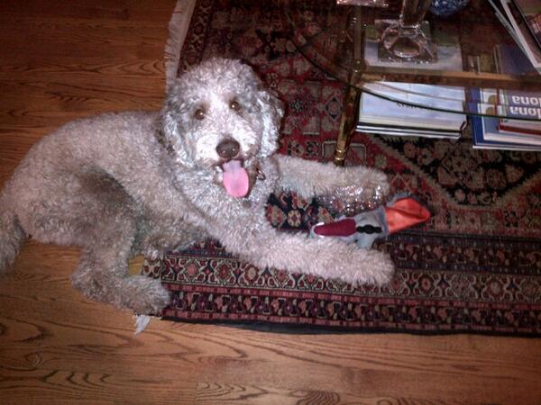 msizzy89's tweet image. 