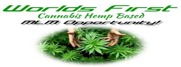 IsomAdvanced's tweet image. manta.com/t/H2EsZr