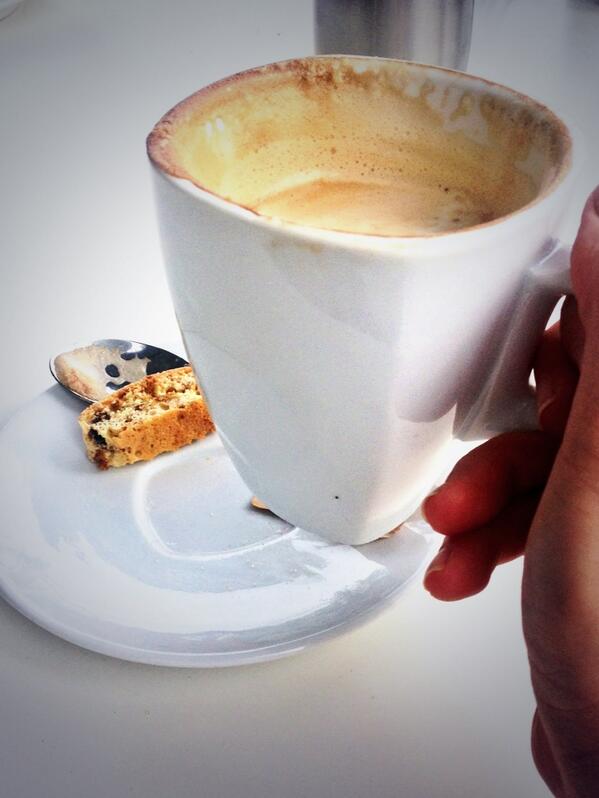 2_Beelicious's tweet photo. Sneaky little biscuit hiding behind my coffee cup!! I did not see u! But now I will eat u!! http://t.co/oNAvqqVTSt