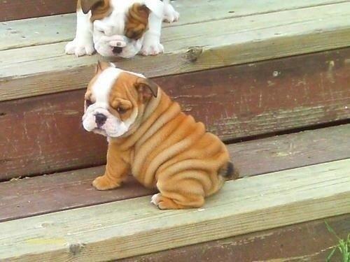 Wrinkles!