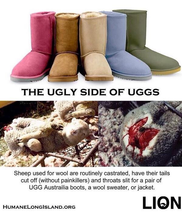 uggs made out of sheep