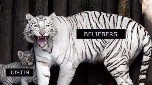 ILYSMJTeam's tweet photo. lol ♥ @justinbieber  @itsRyanButler  @pattiemallette http://t.co/6T3YjVpM7M