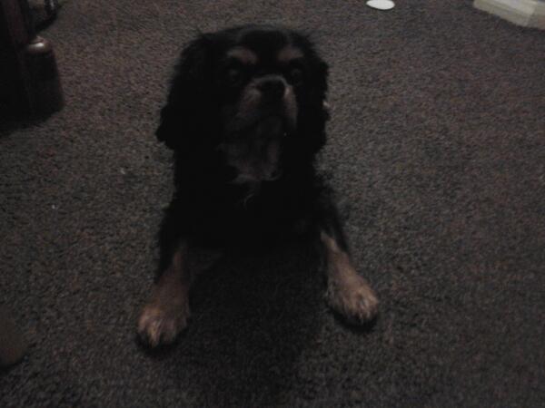 ComKitkitkat's tweet image. Hi people im back did u miss me ?