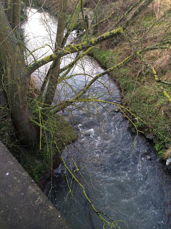 Four tree felling fellers fought famously for #flooding freedom #fabfour #socent <a href="/_YJB/">Youth Justice Board</a> <a href="/EnvAgency/">Environment Agency</a> <a href="/NewcastleCC/">Newcastle City Council</a>