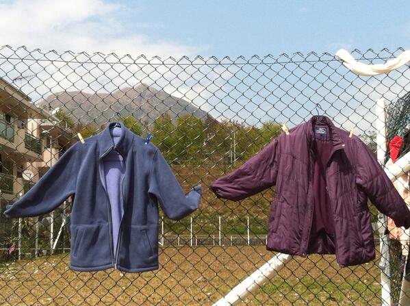 Hazel Parry tweet media