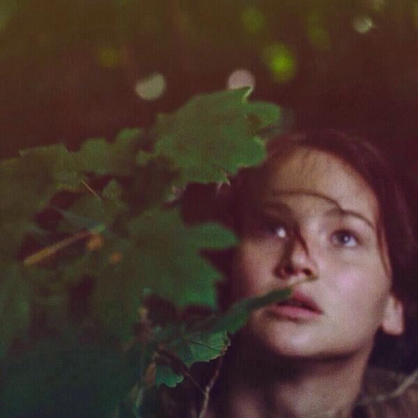 IconHelpers's tweet image. 38.