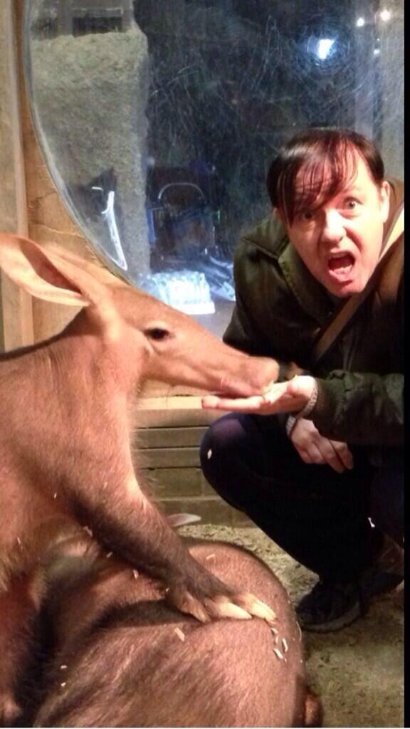 DerekTVShow's tweet image. Retweet if you&apos;re looking forward to #Derek Series 2.... Coming soon!