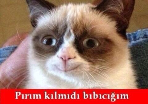 Hasan Erden tweet media