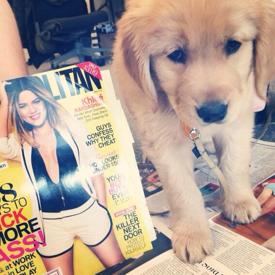 Cosmopolitan's tweet photo. Even adorable puppies love #CosmoKhloe! cc: @KhloeKardashian http://t.co/xa0fOtr0Xe