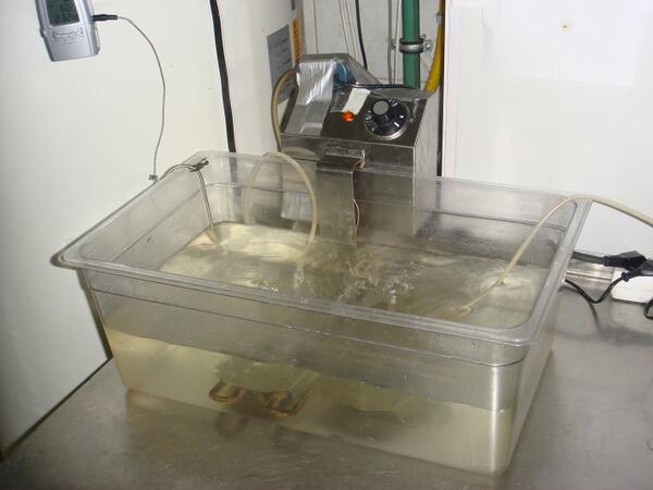 Atceraties ...labais <a href="/JansonsMaris/">Maris Jansons</a> <a href="/thetaskans/">Arturs Taskans</a>