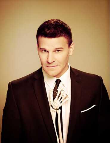 davidboreanazagenteseeleybooth