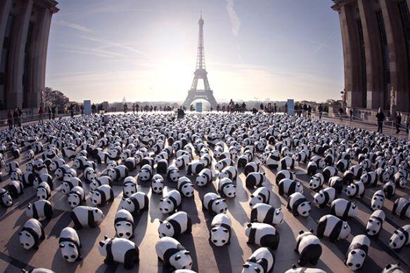 Participant's tweet image. This might just be the world&apos;s greatest panda protection protest: bit.ly/1mFGB5i