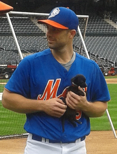 Mets's tweet image. RT if you love puppies as much as #DavidWright. #FaceOfMLB