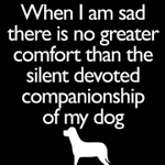 Photo by Service Dogs America (@ServiceDog411)