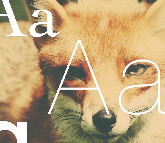 extensis's tweet image. #FontFox—Drop some font knowledge &amp;amp; test your skills. bit.ly/1jl0rho #CreativeFuel #DesignAgent