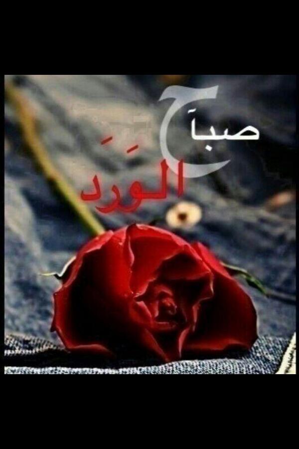 f7alcom's tweet photo. http://t.co/cvt8wl0FjZ