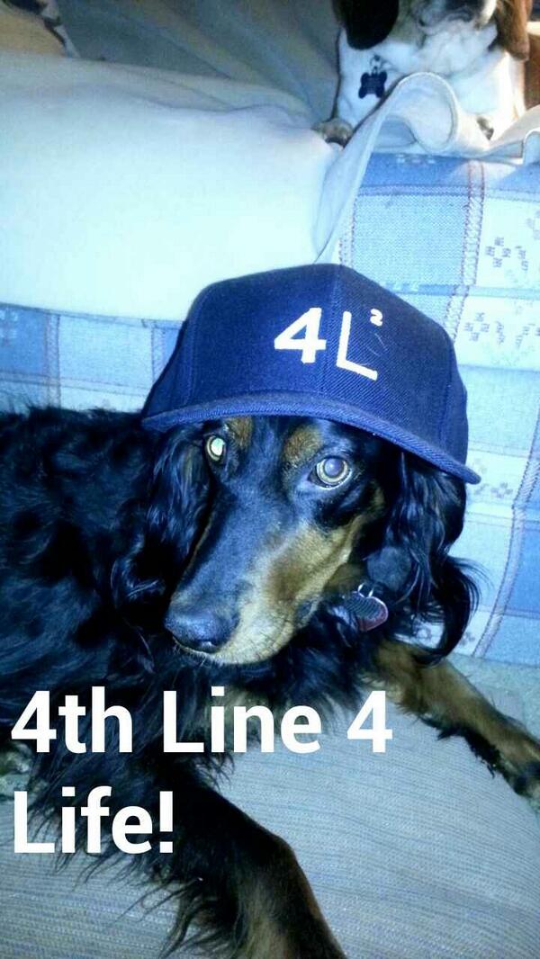 Sea__Cow's tweet image. @BizNasty2point0 @SauceHockey 

Olympics are over, time to get some NHL action on our soil. 
#4thLine4Life