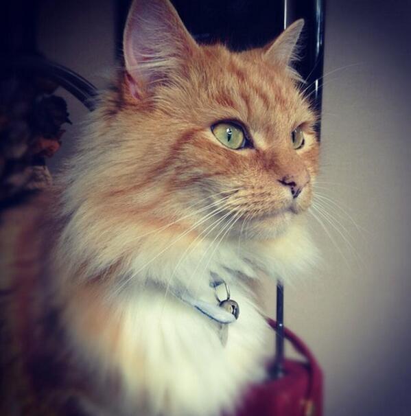 itommcfly's tweet photo. Miss you, mate xx http://t.co/JvVxAdSCHB