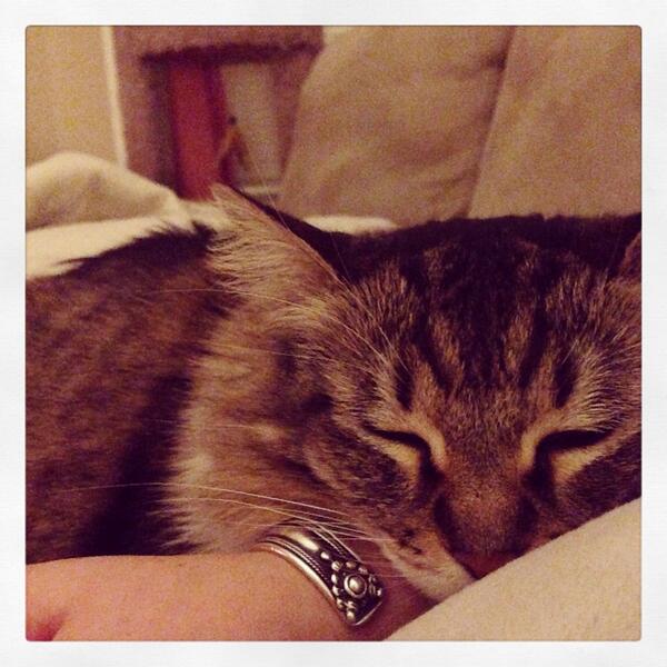 AmberKSmith1's tweet photo. Cuddles...... #whenwillthefreezingend http://t.co/fnU6pJ8zoO