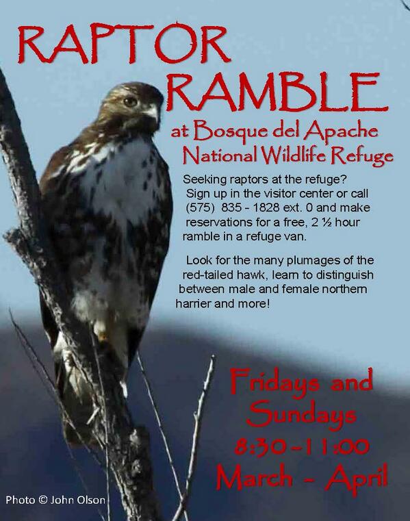 FriendsofBosque's tweet image. Check out spring #migration at #BosquedelApache with our new #tours. friendsofthebosque.org/educationaleve…