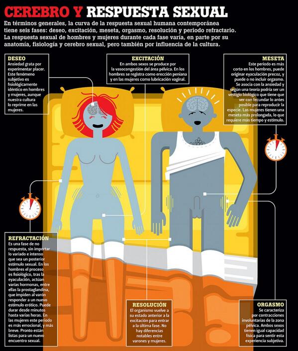 Fetiches_69's tweet photo. Conoce cómo funciona el ciclo de excitación sexual #ConfiesoQue #obsession #datos #porcentajes #datocurioso #amor http://t.co/OpVtCMrkvW