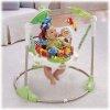 Fisher price - Rainforest Jumperoo
Max Berat Anak: 25 lbs. (11,3 kg) 
Max Tinggi Anak: 32 "(81 cm)
Rp.150.000,-/bln