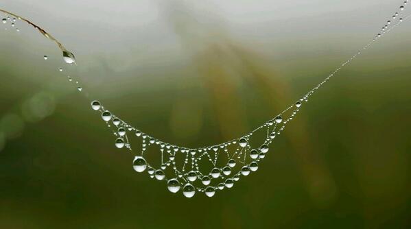 Nice