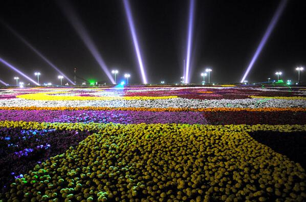 RCJY_Yanbu's tweet photo. ينبع الصناعية تدخل موسوعة جينيس لأكبر سجادة زهور طبيعية بالعالم http://t.co/qD5tbDvvzV