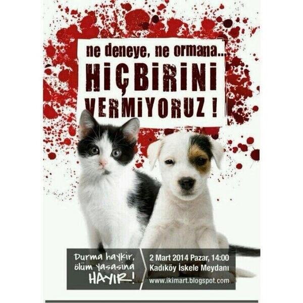 GÜNDEM KARIŞIK .. AMA UNUTMA ,ONLAR DA POLİTİKACILARIN KURBANI OLMASINLAR!!
