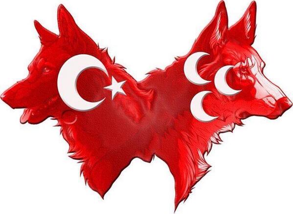 CCCedaCCC's tweet photo. http://t.co/e6Ye97oGCo